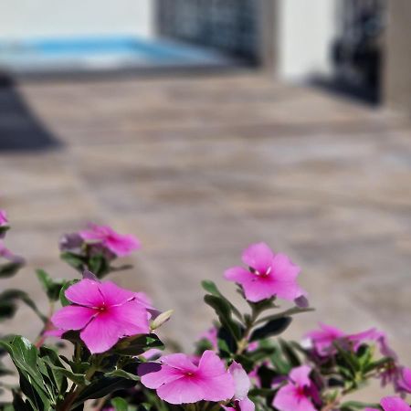 マラガ Del Parque Flats Balneario De Pinaヴィラ エクステリア 写真