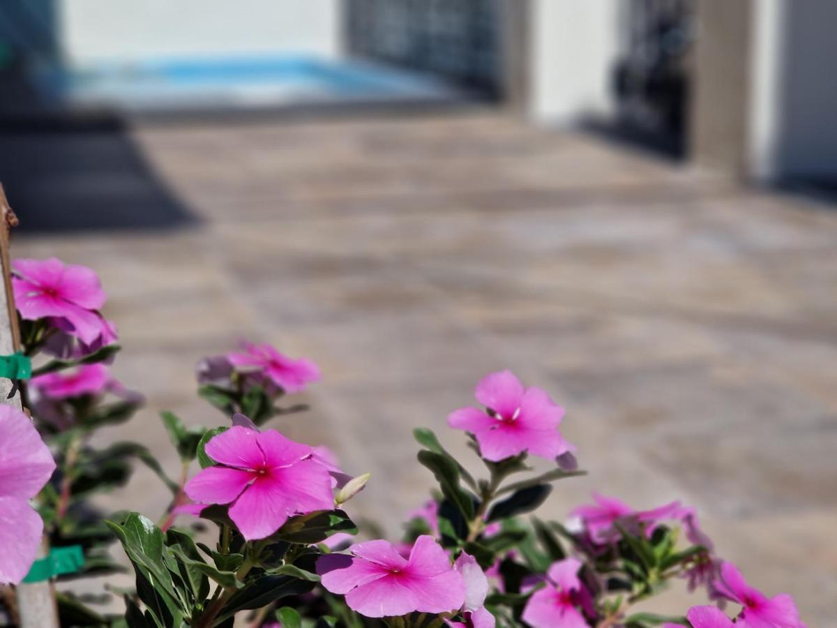 マラガ Del Parque Flats Balneario De Pinaヴィラ エクステリア 写真